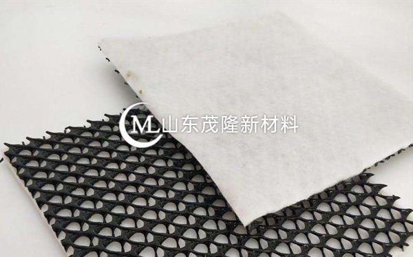 三維復(fù)合排水網(wǎng) 第3張