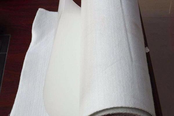 復(fù)合土工膜在防汛工程中的多重作用解析  第3張