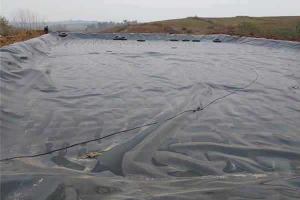 土工膜在種植中的應(yīng)用價(jià)值：防滲土工膜能否用于種植？  第2張