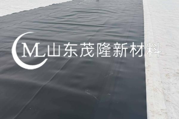 HDPE土工膜  第2張