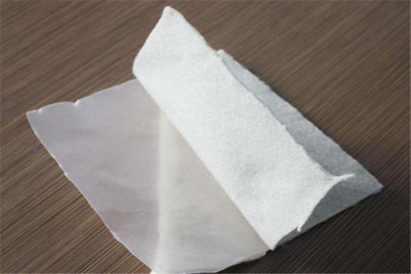 復合土工膜在不同地質(zhì)條件下的應用