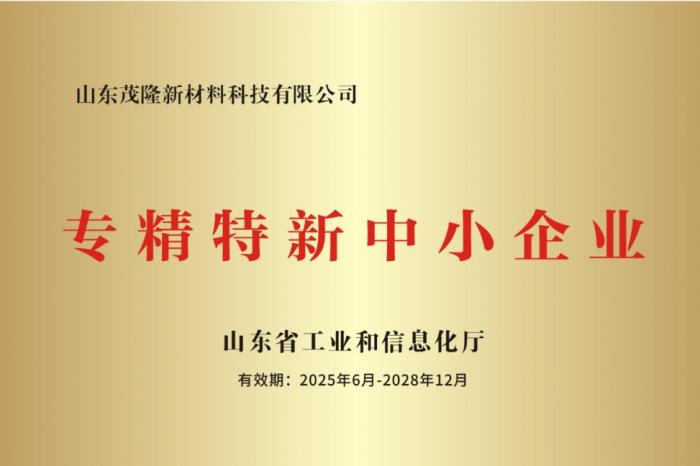 專精特新中小企業(yè)